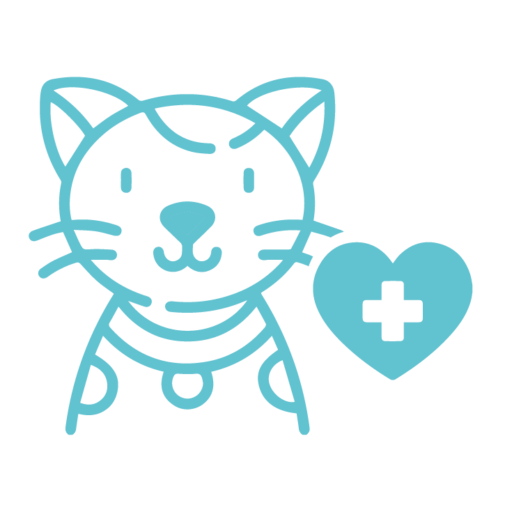 Gato